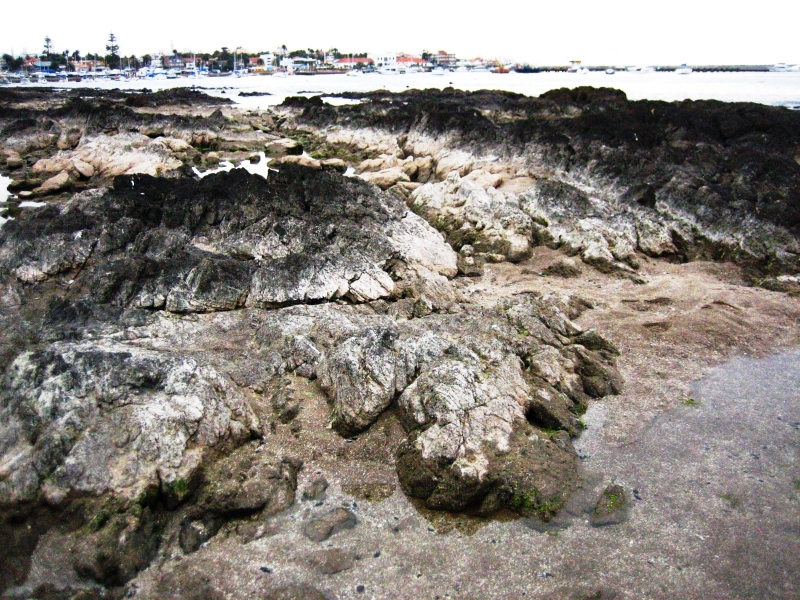 Uruguay (15)