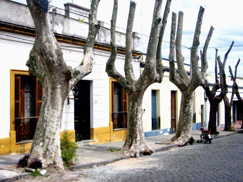 Uruguay (8)