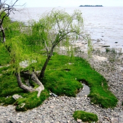 Uruguay (13)