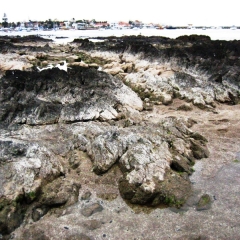Uruguay (15)