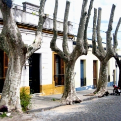 Uruguay (8)