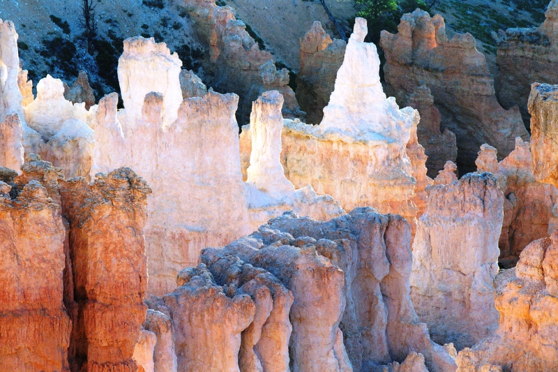 VS - Utah (9)