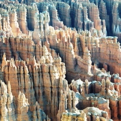 VS - Utah (12)