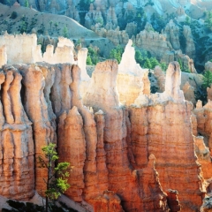 VS - Utah (2)