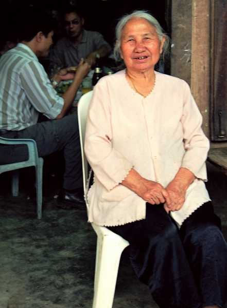 Vietnam (101)