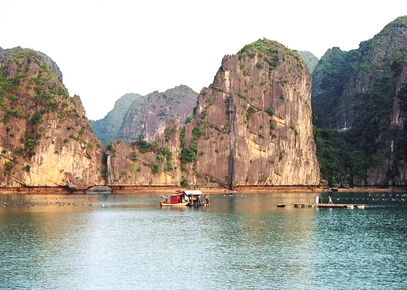 Vietnam (11)