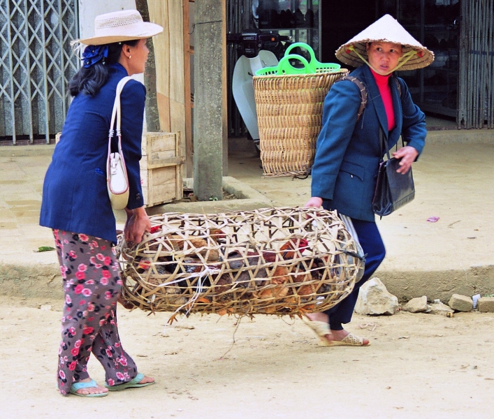 Vietnam (111)