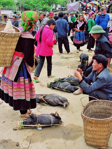 Vietnam (116)