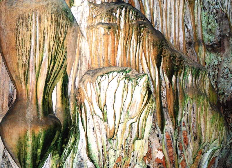 Vietnam (124)