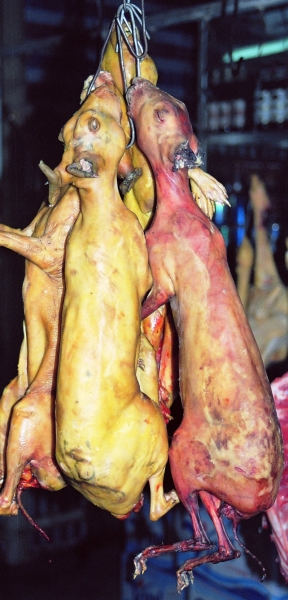 Vietnam (151)