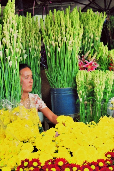 Vietnam (174)