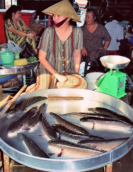 Vietnam (179)