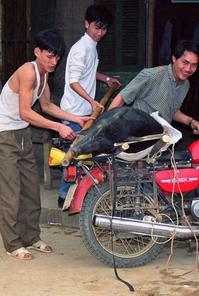 Vietnam (183)