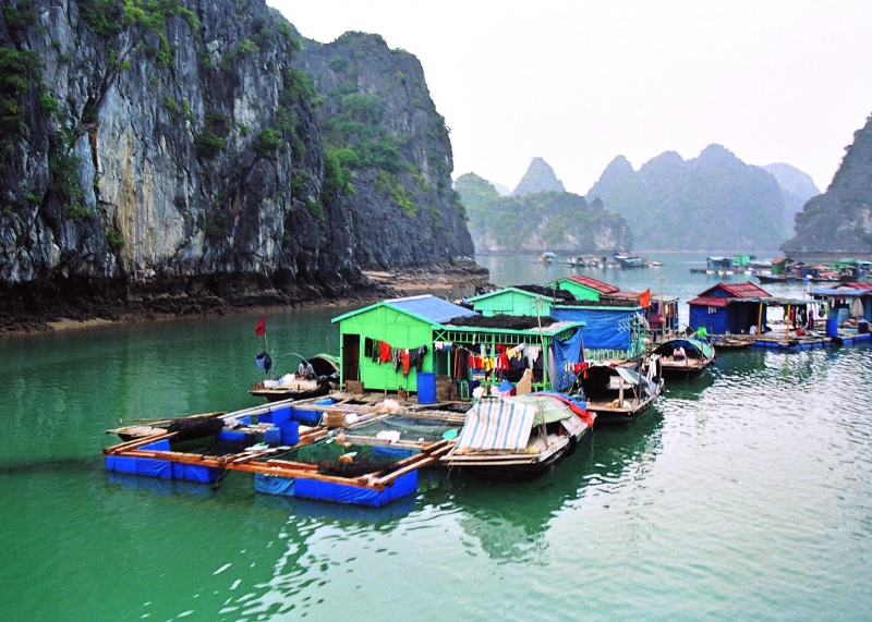 Vietnam (29)