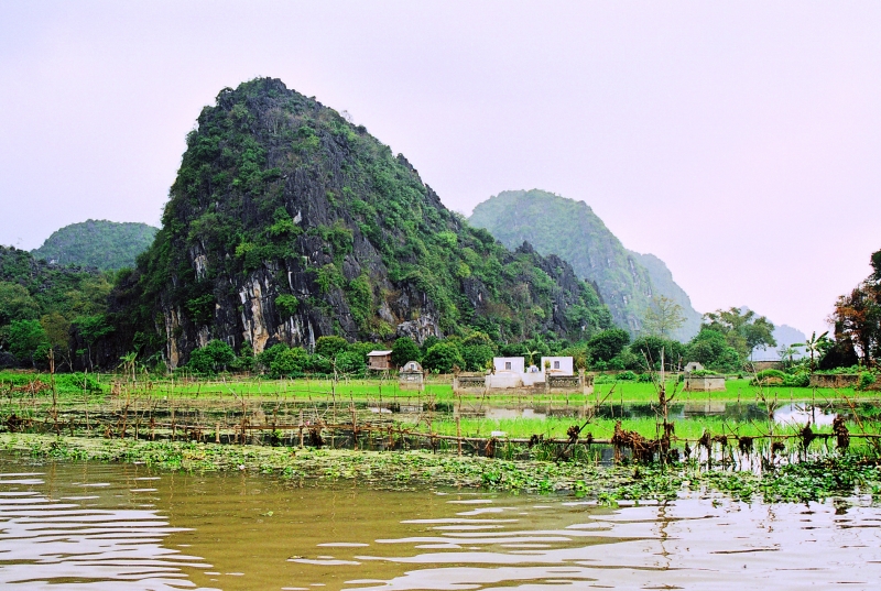 Vietnam (30)