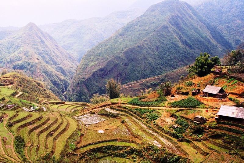 Vietnam (36)