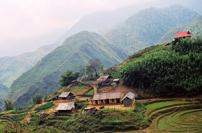 Vietnam (37)