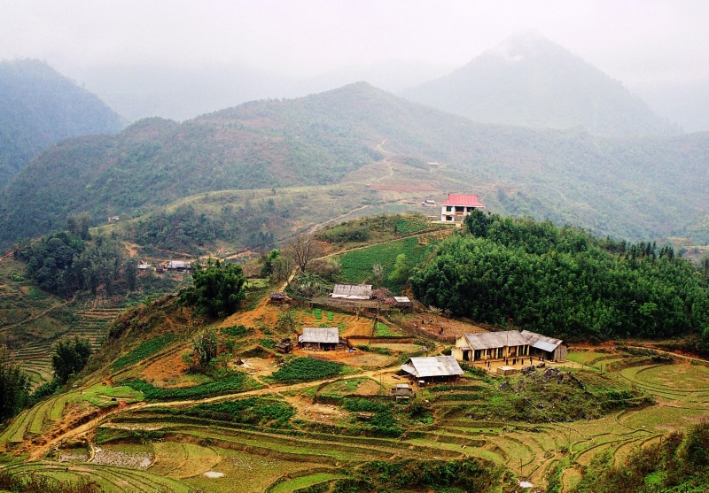Vietnam (38)