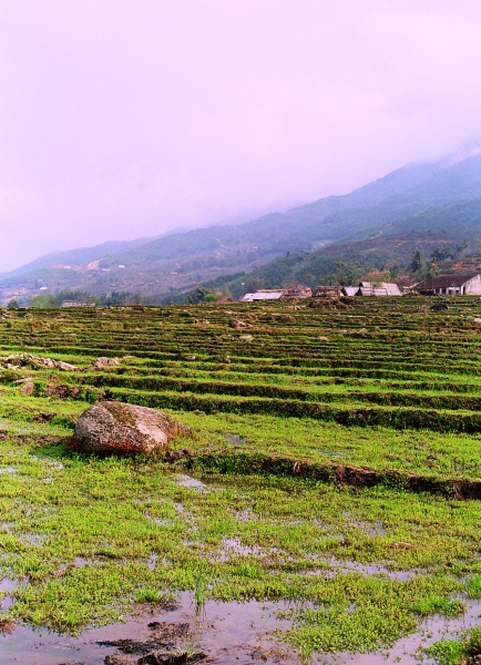 Vietnam (39)