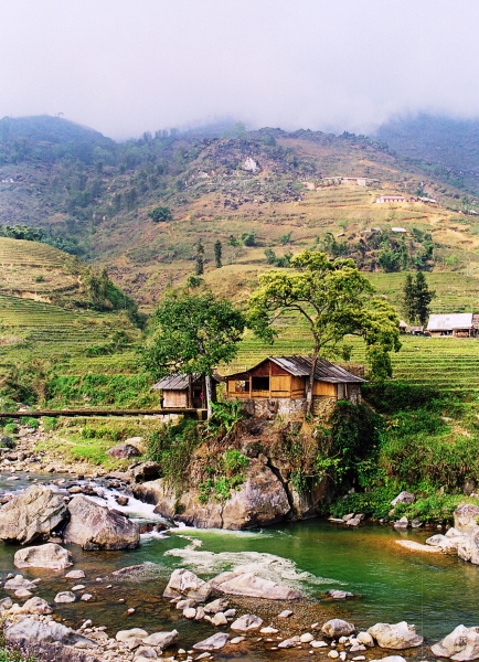 Vietnam (40)