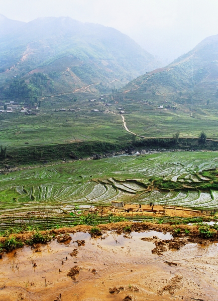 Vietnam (42)