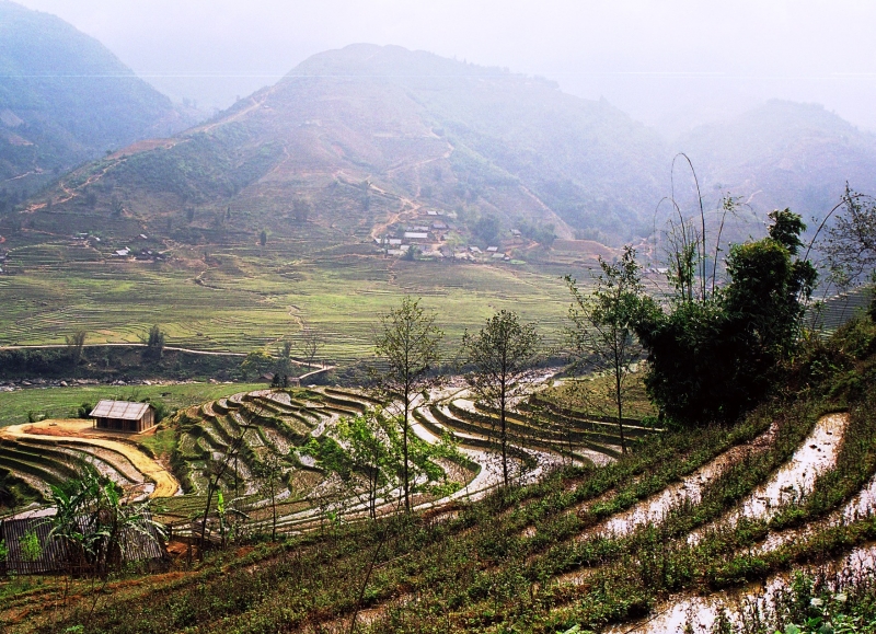 Vietnam (43)