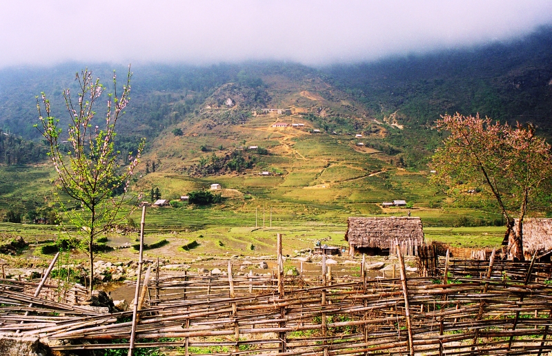 Vietnam (47)