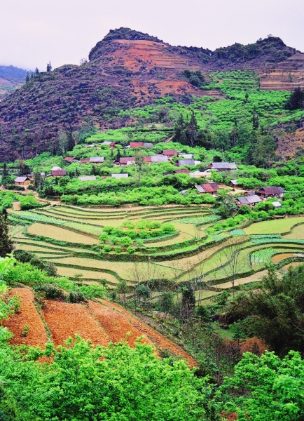 Vietnam (50)