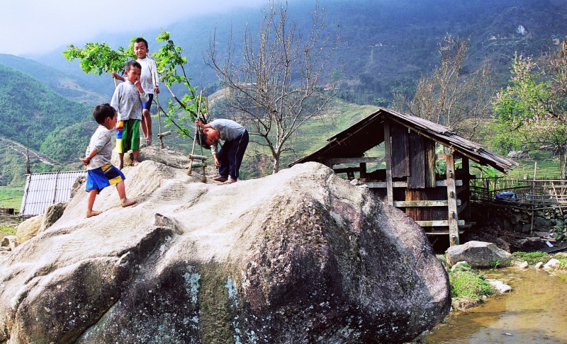Vietnam (54)