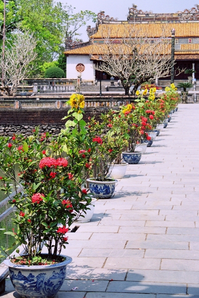 Vietnam (71)