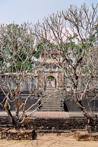 Vietnam (77)