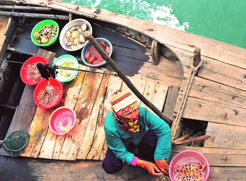 Vietnam (8)