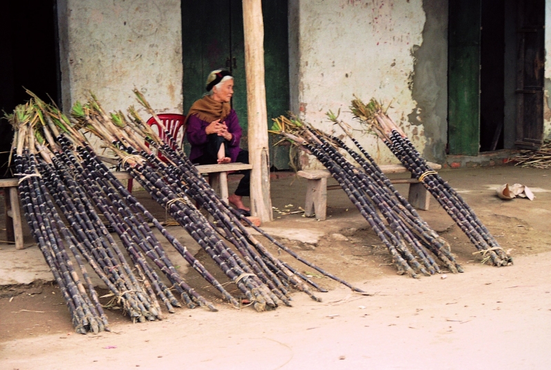 Vietnam (80)