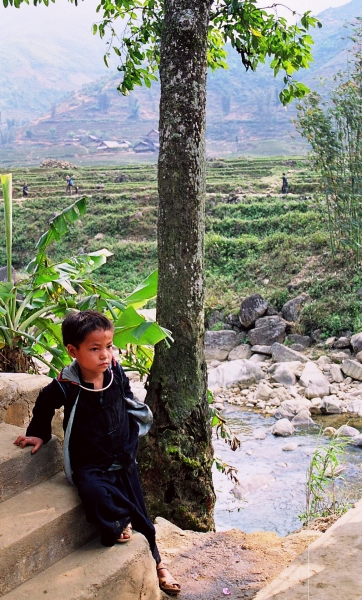 Vietnam (98)