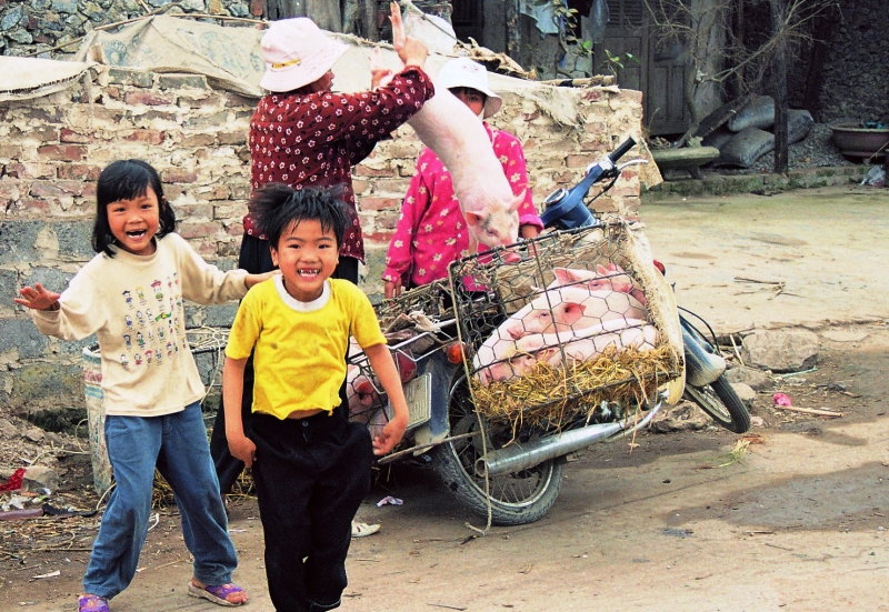 Vietnam (99)