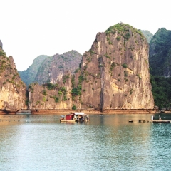 Vietnam (11)