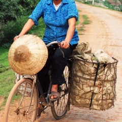Vietnam (110)