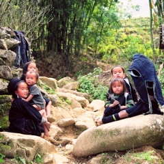 Vietnam (113)