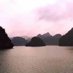 Vietnam (19)
