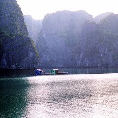 Vietnam (20)
