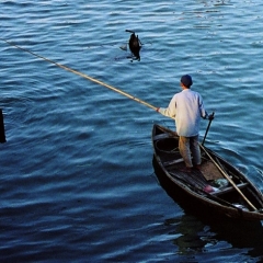 Vietnam (24)