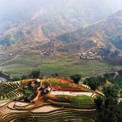 Vietnam (28)