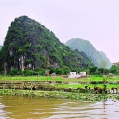 Vietnam (30)