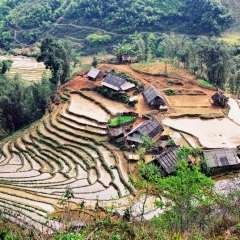 Vietnam (34)