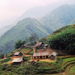 Vietnam (37)