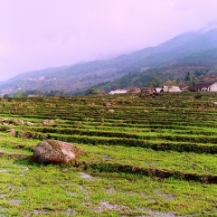 Vietnam (39)