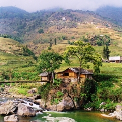 Vietnam (40)