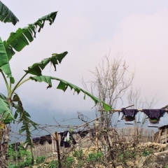 Vietnam (45)