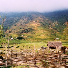 Vietnam (47)
