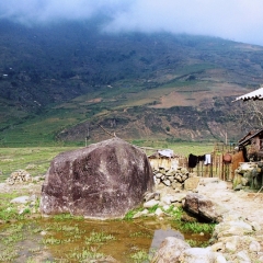 Vietnam (48)